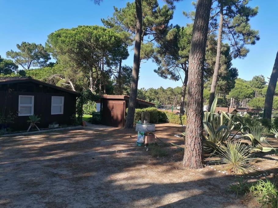 Casa Da Lagoa * Sesimbra