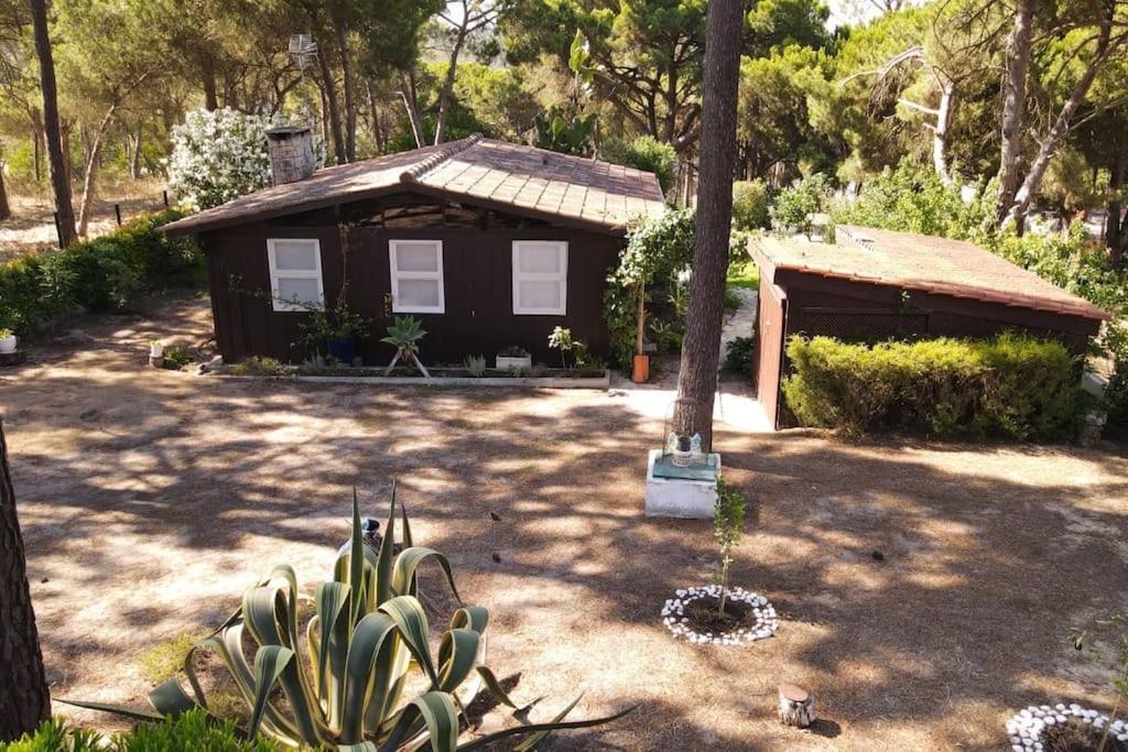 Casa Da Lagoa